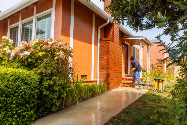 Best Roof Pressure Washing  in Phillipsburg, GA