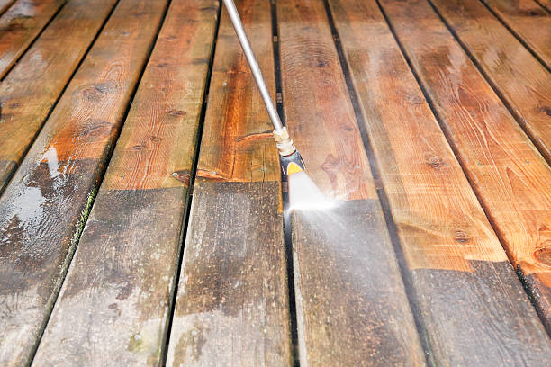 Best Pressure Washing Company Near Me  in Phillipsburg, GA